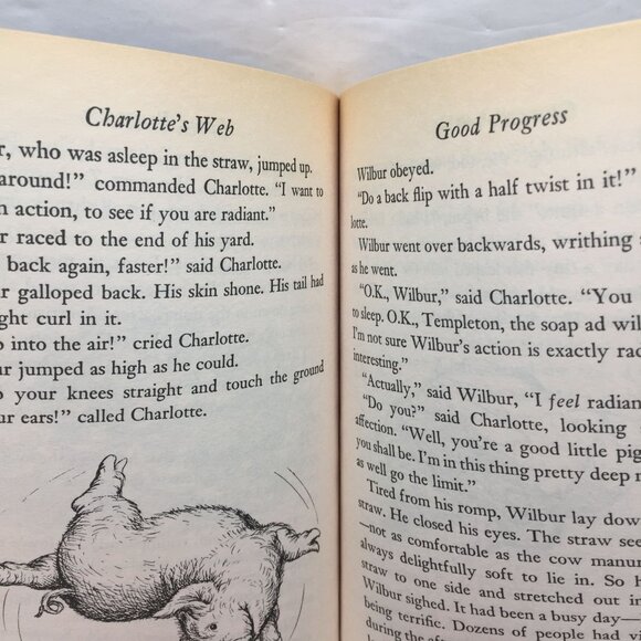 Lot 2 Kids Chapter Books Charlotte's Web Strange Thing Allen Brewster Gardiner - Picture 12 of 14